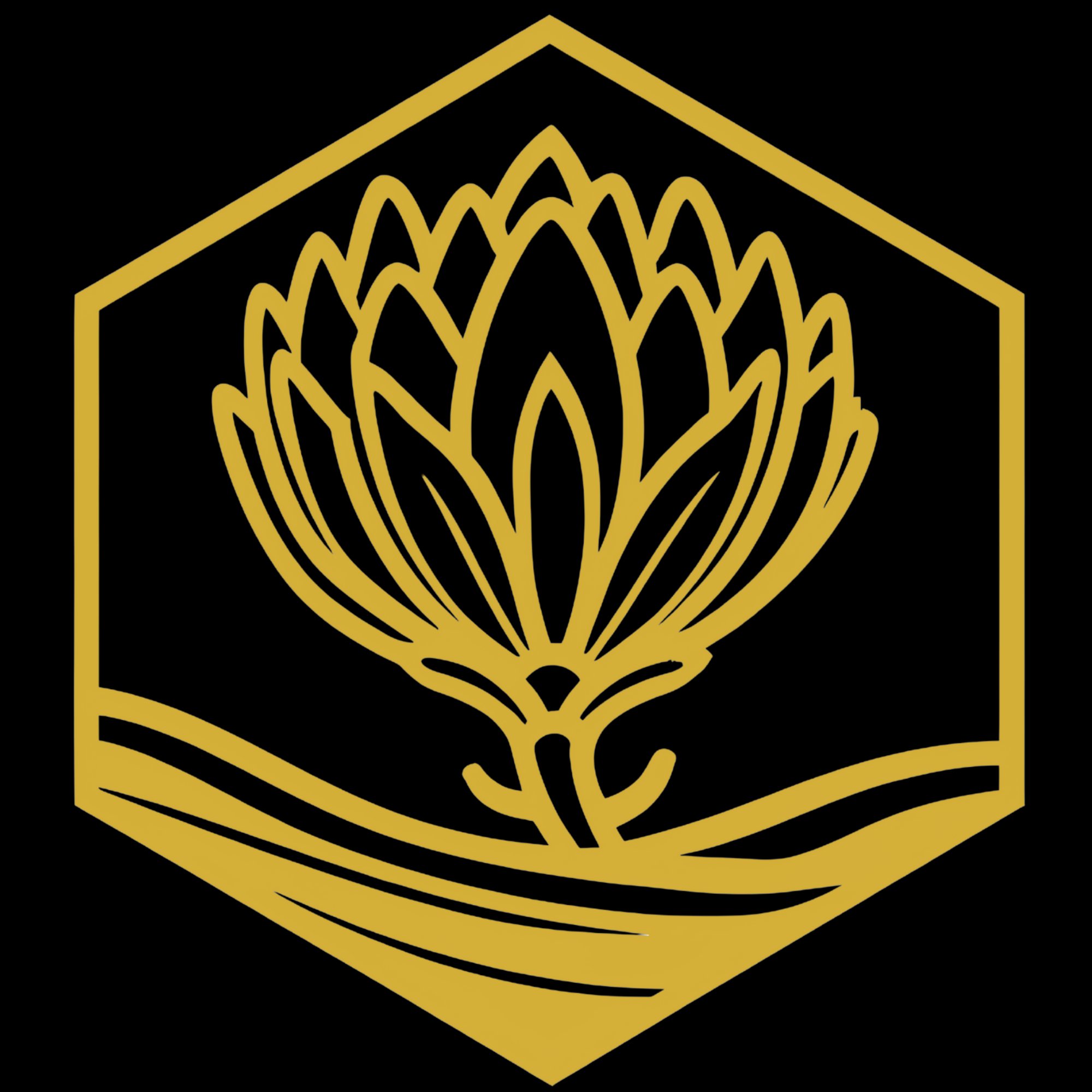 PVB Group